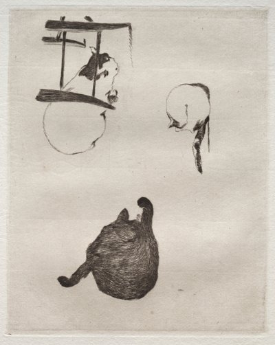 キャッツ 作： Édouard Manet