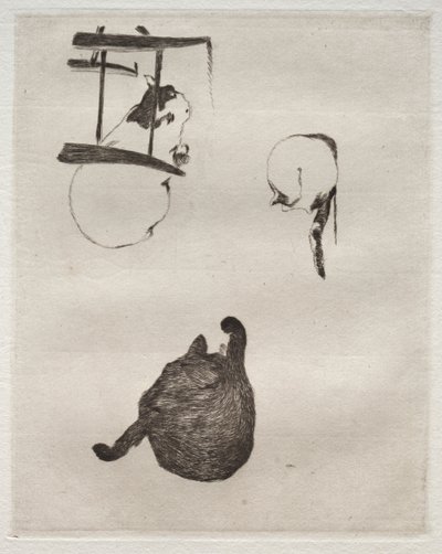 猫、1868-1869。 作： Édouard Manet
