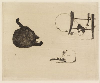 猫、1869 作： Édouard Manet