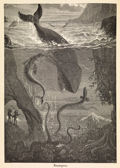 ジュール・ヴェルヌ「海底二万里」の扉絵、1870年頃（版画） 作： Edouard & Neuville Alphonse Marie Adolphe de (1835 85) Riou