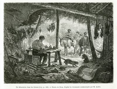 1875年から1876年にかけて、フランス政府が派遣した旅行者ミッション、エド・アンドレが春秋アメリカ（コロンビア、エクアドル、ペルー）の物語を説明するためにリウが描いた、ラノス（コロンビア）地方の原生林の中にある剥製工房。エングラ 作： Edouard Riou