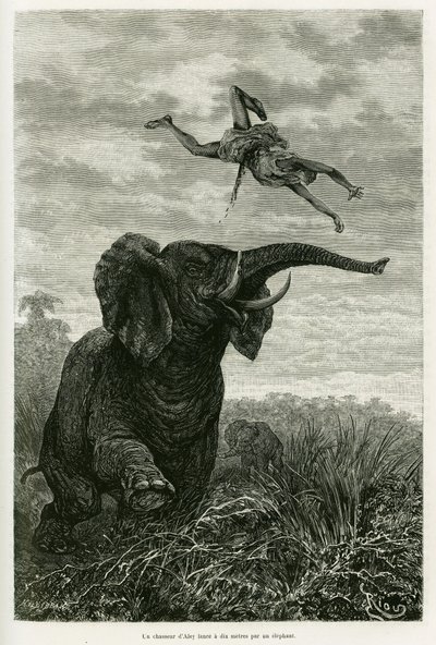 アレイの狩人が象から1マイルを投げる。エドゥアール・シャルトン（1807-1890）の指揮の下、1883年から1885年にかけて、船のアンサインを務めたヴィクトール・ジローが、ツアー・デュ・モンド1886年に参加した物語「赤道アフリカの湖」を説明するためにリウが描いたエングレーヴィング。 作： Edouard Riou