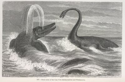 イクチオサウルスとプレシオサウルスがいるリアス式海岸の理想的な光景」。 作： Edouard Riou