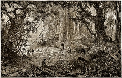 グアテマラにおける探検家キャンプの設置（1882年） 作： Edouard Riou