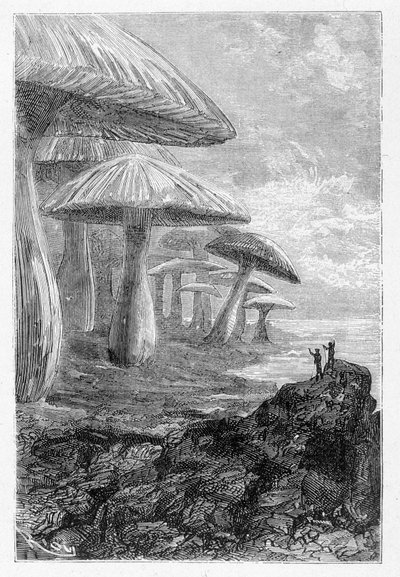 ジュール・ヴェルヌの「Voyages Extraordinary」に掲載されているRiouの絵、Hetzel, n.d. 19日。 作： Edouard Riou
