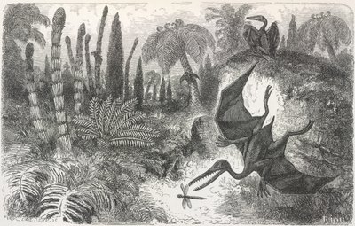リアス紀の風景」。翼竜のイラスト 作： Edouard Riou