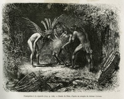 ルークーヤンインディアンのタバコによる医療燻蒸。1878年から1879年にかけて、フランス海軍の医師ジュール・クレヴォーが、エドゥアール・シャルトンの指揮の下、『Tour du monde』誌に掲載したCayenne aux Andesの物語を説明するためのリウの版画。 作： Edouard Riou