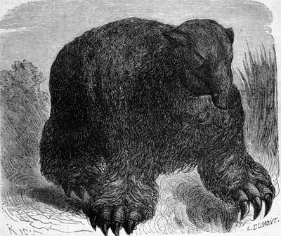 先史時代：メガテリウム（ゾウの仲間の地上の怠け者）の表現。Edouard Riou（1833-1900）による19世紀末のエングレーヴィング。 作： Edouard Riou