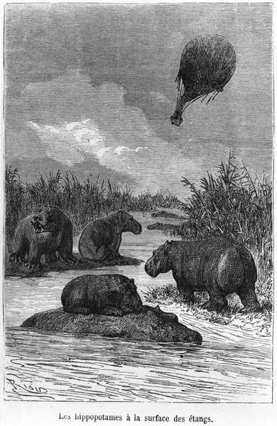 カバ、ジュールヴェルヌ（1828-1905）パリ、ヘッツェルによる「バルーンの5週間」のイラスト 作： Edouard Riou