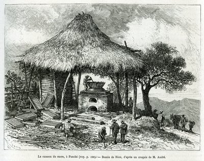 パンチェ（コロンビア）の砂糖焼き窯。1875年から1876年にかけて、フランス政府が派遣した旅行者ミッション、エド・アンドレが春秋アメリカ（コロンビア、エクアドル、ペルー）の物語を説明するためにリウが描いたもの。Le tour du monde」に掲載された版画 作： Edouard Riou