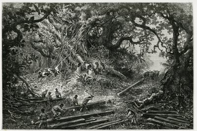 アンデスの森でのマホガニーの搾取。1882年、考古学者・写真家のデジレ・シャルネ（1828-1915）が執筆した「ユカタンとラカンドンの地への旅」の挿絵としてリウが描いた版画。Tour du monde nou』に掲載。 作： Edouard Riou