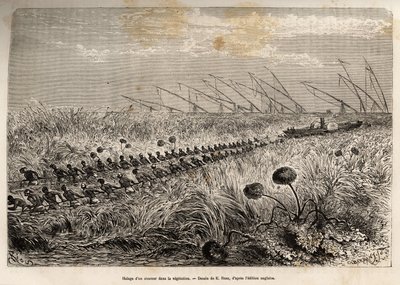 E.Riouが描いた、中央アフリカでの黒人貿易撲滅のための武装遠征の図をもとにエッチングされたもので、湿地帯を離れるために中空の運河に侵入する植物の筏の間を縫って蒸気船を運ぶ様子。 作： Edouard Riou