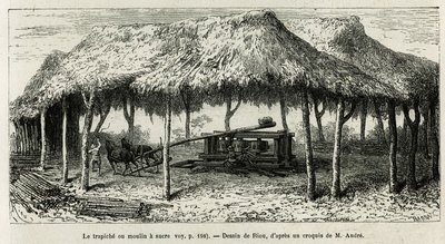 パンチェ（コロンビア）のサトウキビをすりつぶすトラピッチェ（製糖所）。1875年から1876年にかけて、フランス政府が派遣した旅行者ミッション、エド・アンドレが春秋アメリカ（コロンビア、エクアドル、ペルー）の物語を説明するためにリウが描いたもの。リューのエングレーヴィング 作： Edouard Riou