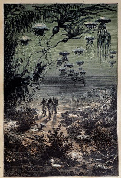 水中の床。ジュール・ヴェルヌ（1828-1905）の小説「海底二万哩」のためにエドゥアール・リウ（1833-1900）が描いたイラスト 19世紀 個人蔵 作： Edouard Riou