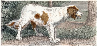 Spagneul (犬)-「アルファベットは動物を示しています」19 世紀 (彫刻) 作： Edouard Travies