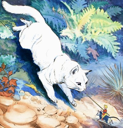 トム・サム物語 作： エドゥアルド・テイシェイラ・コエーリョ