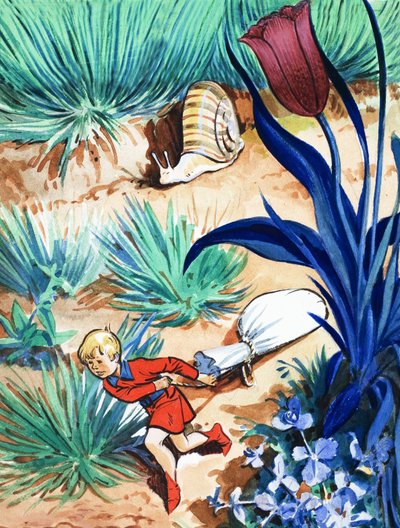 トム・サム物語 作： エドゥアルド・テイシェイラ・コエーリョ