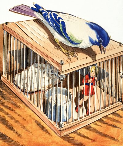 鳥かごの中のトム・サム 作： エドゥアルド・テイシェイラ・コエーリョ