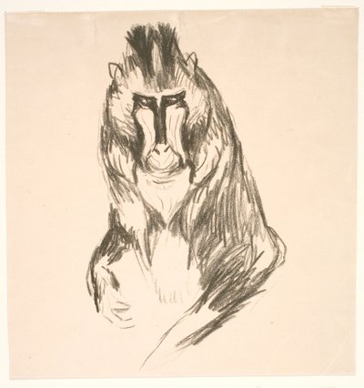 ゴリラ (本土) 作： Edvard Munch