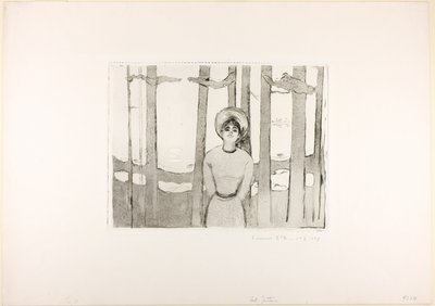 夏の夜。 声 作： Edvard Munch