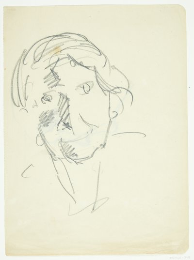 芸術家の妻で画家のアグネス ウェイエ (1878-1964) の正面の肖像画 作： Edvard Weie