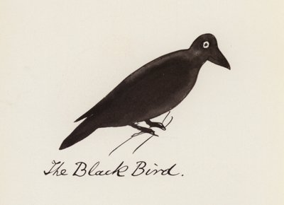 Edward Lear, The Bird Book: The Black Bird (カラーリソ) 作： Edward (after) Lear