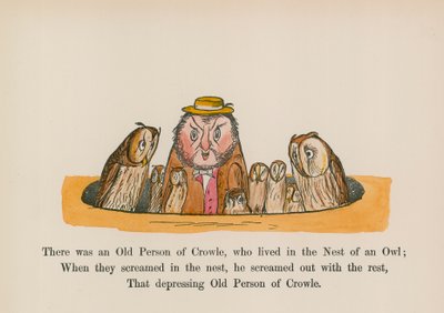 フクロウの巣に住むクロウルの老人がいた（カラー版画） 作： Edward (after) Lear