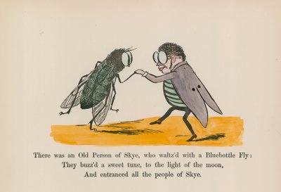 ブルーボトル・フライとワルツを踊るスカイの老人がいた（カラー版画） 作： Edward (after) Lear