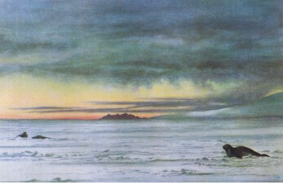 コリンズ発行のブリティッシュアドベンチャー、1947年 作： Edward Adrian Wilson