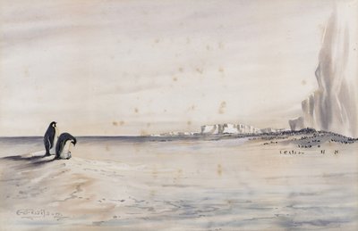皇帝ペンギンの繁殖地、クロジエ岬 作： Edward Adrian Wilson