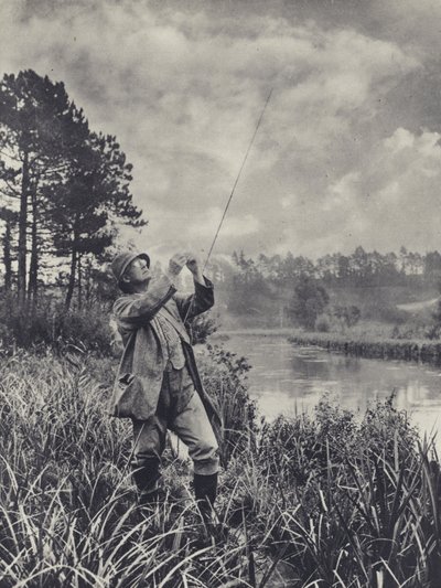 結び目（モノクロ写真） 作： Edward Alfred Barton