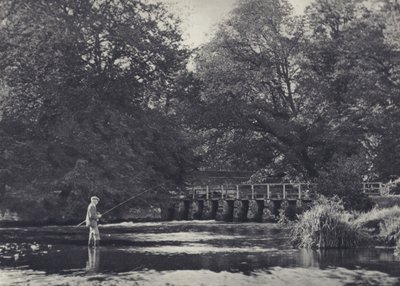 ナダーの14のハッチ（モノクロ写真） 作： Edward Alfred Barton
