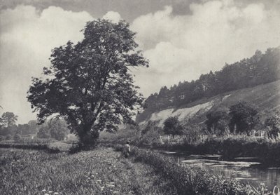 レックフォード、メインキャリアのビッグ・アッシュ（モノクロ写真） 作： Edward Alfred Barton