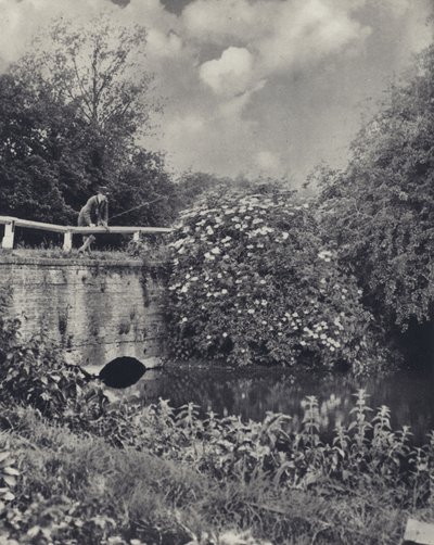 アクスブリッジのフレイズに架かる運河橋（モノクロ写真） 作： Edward Alfred Barton