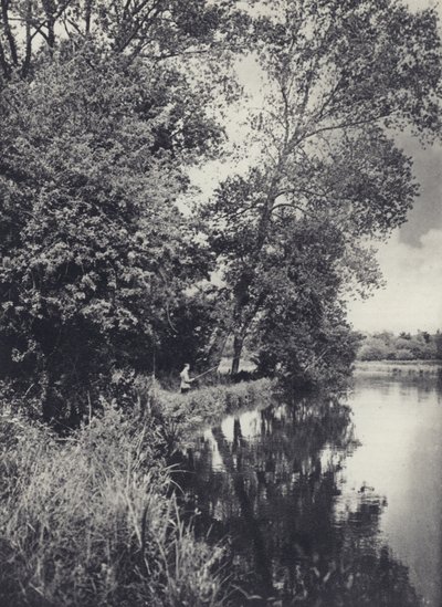 ホートン・ウォーターの大きなポプラの下（モノクロ写真） 作： Edward Alfred Barton