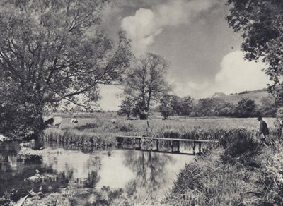 イッチェン下流のウォーター・メドウズ（モノクロ写真） 作： Edward Alfred Barton