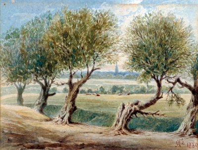 リバー・フリートの最後の痕跡、...フリート・ロードの東側、ハムステッド、1880年 作： Edward Arthur Heffer