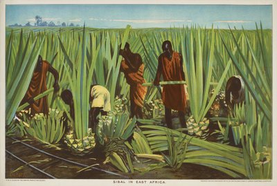 東アフリカのサイザル麻、シリーズ「帝国貿易は成長する」より 作： Edward Barnard Lintott