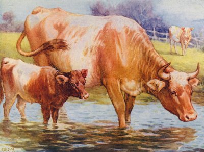 牛と子牛 (カラーリソ) 作： Edward Brice Montefiore