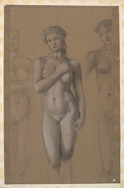 女性のヌード-3つの研究、おそらく金星のために 作： Edward Burne-Jones