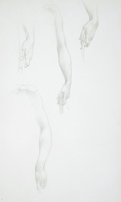 『腕と手の習作』（表）；『女性の胴体の習作』（裏） 作： Edward Burne-Jones