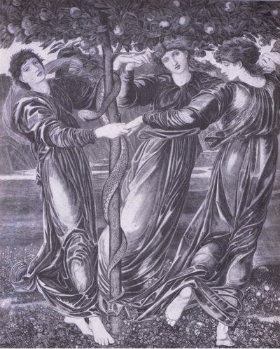 ヘスピリデスの庭、Bibbys Annual 作： Edward Coley (after) Burne Jones