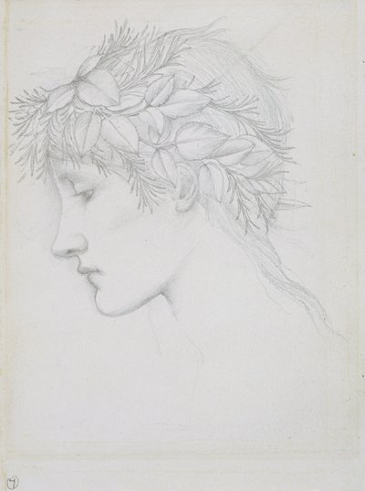 葉を戴く頭部 1897年頃（紙に鉛筆） 作： Edward Coley Burne Jones