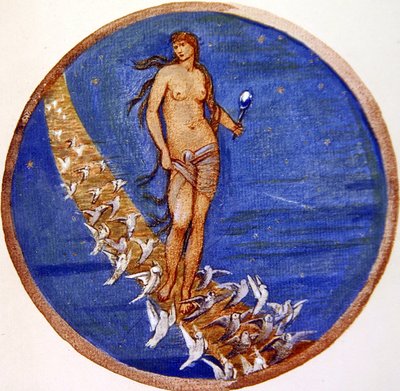 ザ・フラワー・ブックV. ローズ・オブ・ヘブン 作： Edward Coley Burne Jones