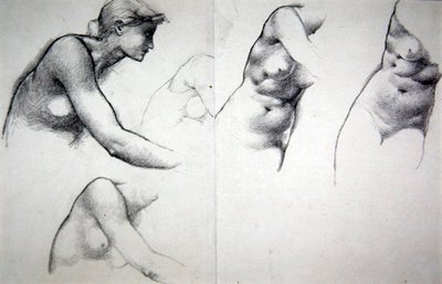 赦しの木」フィリスの像のための習作 1882年頃 （紙に鉛筆） 作： Edward Coley Burne Jones