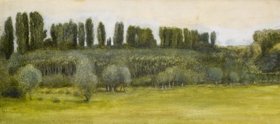 柳とポプラのある風景、研究 作： Edward Burne Jones