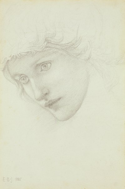 人魚の頭の研究、1885 作： Edward Burne Jones
