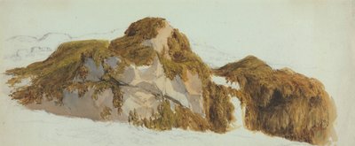 海藻に覆われた岩の研究 作： Edward Duncan