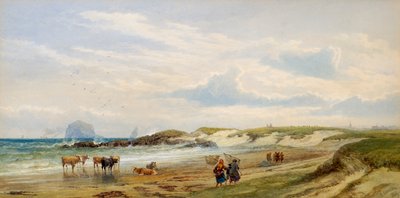 The Bass Rock 作： Edward Duncan