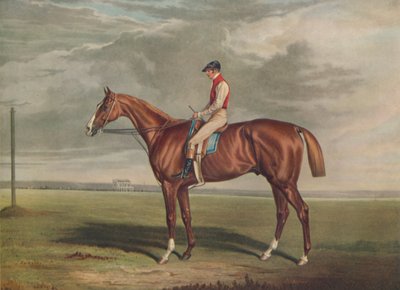 「ヴェロキペード、聖レジェの勝者、1828年」、c1828、1929年 作： Edward Duncan